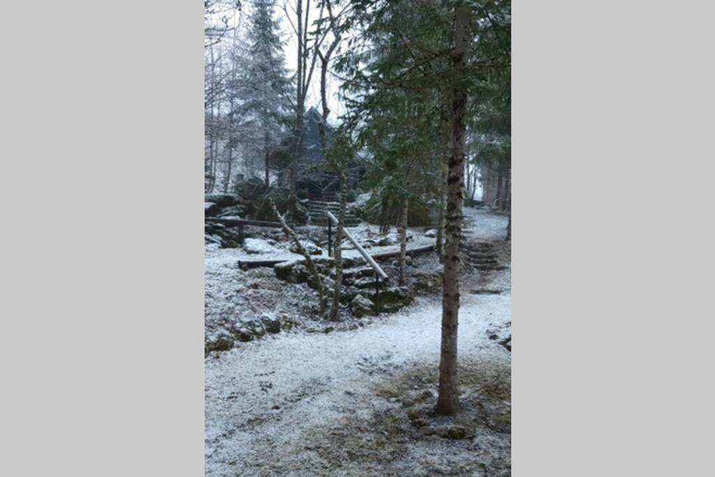 Ferienhaus Blommers パルファウ エクステリア 写真